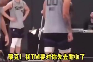 新西兰VS埃及比赛回放