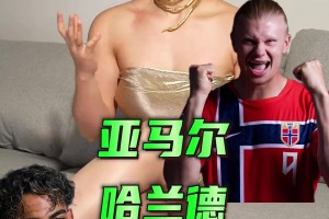 免费荷兰对突尼斯在线观看