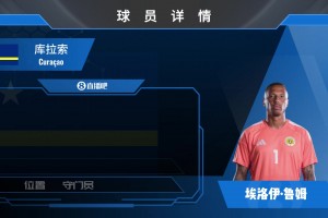 极速美国对澳大利亚进球集锦