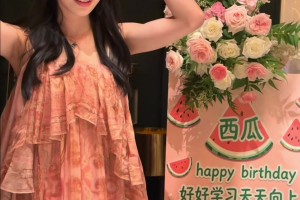 蜘蛛冰球比赛回放