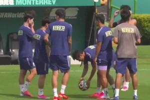 最新怎样用球神看CBA在线观看