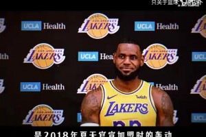 重磅劲球拳击高清比分预测